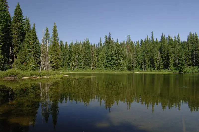 Photo: U.S. Forest Service- Pacific Northwest Region / Public domain, via Wikimedia Commons