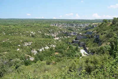 Photo: Zewan / CC BY-SA 3.0, via Wikimedia Commons