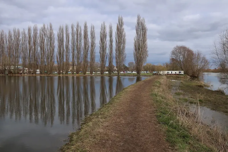 Poplars by Westview Marina