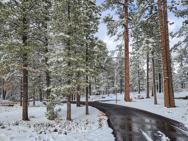 Photo: Tony Webster / CC BY 2.0, via Wikimedia Commons Snow at Sunset Campground - Bryce Canyon National Park - Utah