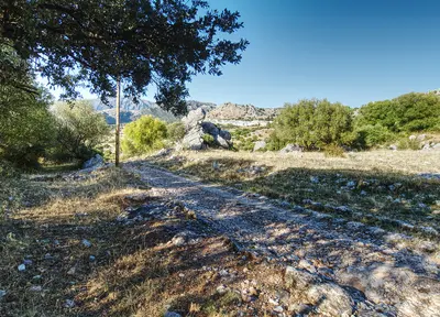 Calzada romana Benaocaz al fondo
