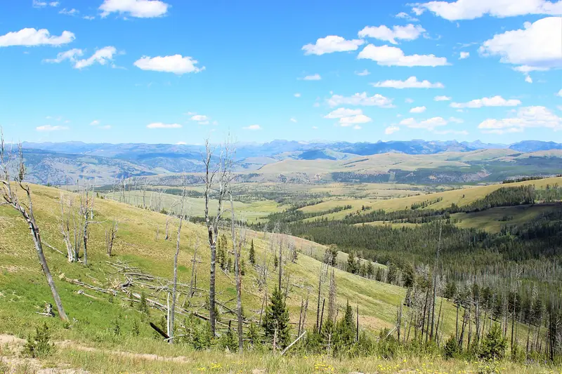 From Chittenden Road, Mt. Washburn, Yellowstone NP - panoramio - Aaron Zhu