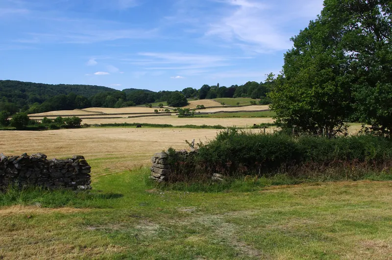 Fields near Haycote Farm, about 0.5 km from Borderside Farm