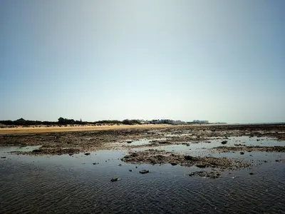 Corrales de Rota. Monumento Natural