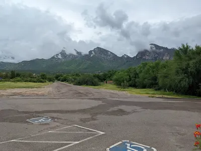 Pusch Ridge Covered in Summer Grasses, near Oro Valley