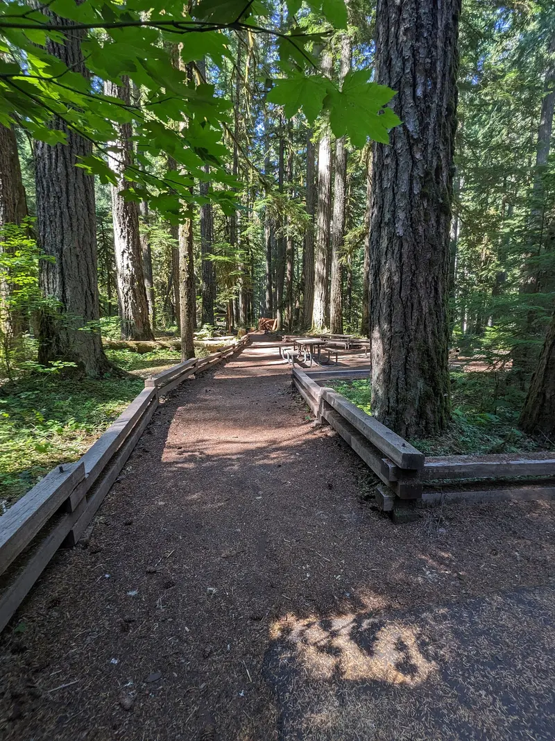 A path leads to more picnic tables at the picnic area in Loop A of the Ohanapecosh Campground…