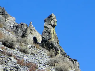 Photo: Intermountain Forest Service, USDA Region 4 Photography / Public domain, via Wikimedia Commons