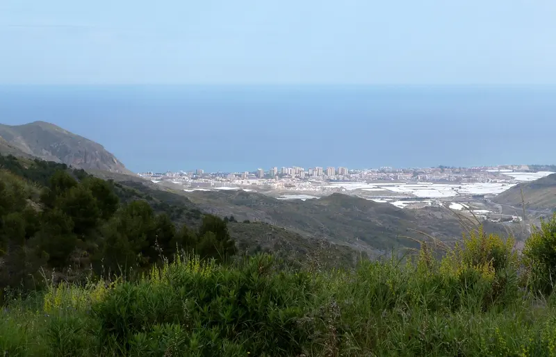 Alm04RoquetasDeMar1