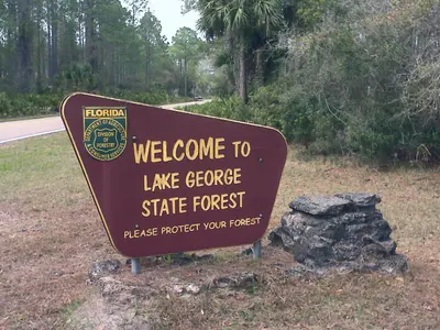 Lake George State Forest Welcome Sign, near Astor