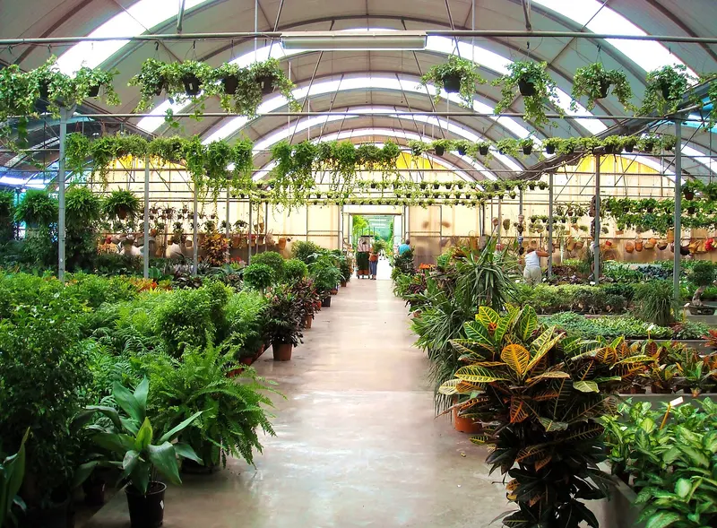Plantas- Nursery, about 0.3 km from MiluCar Camper Area