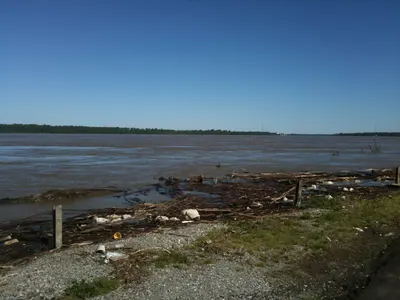 Water near Burrus Landing, near Tiptonville