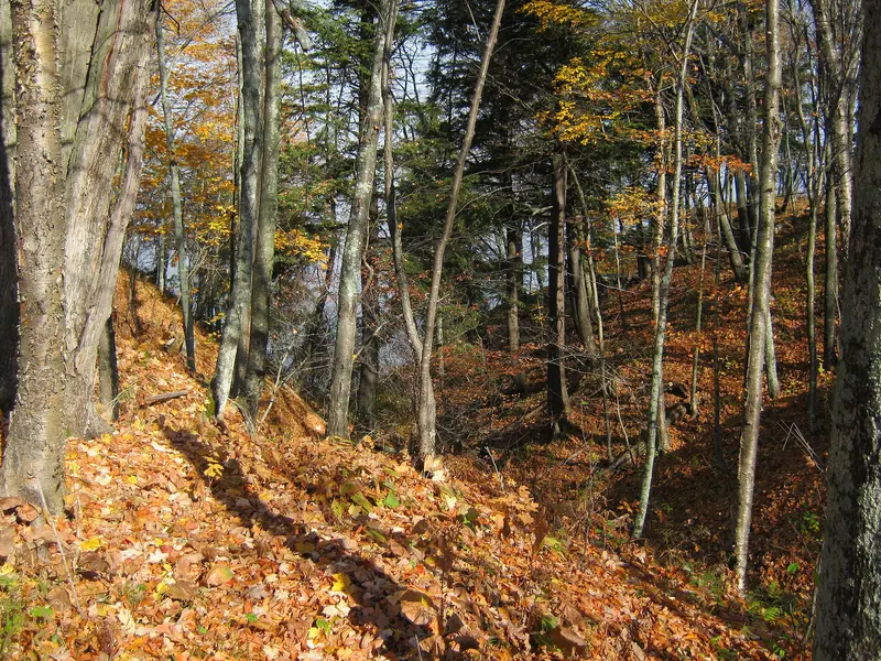 Black River Harbor Campground