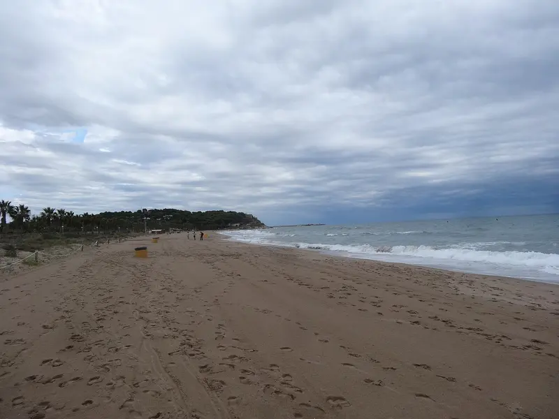 Platja Llarga de Berà (setembre 2013), about 0.6 km from Area 340