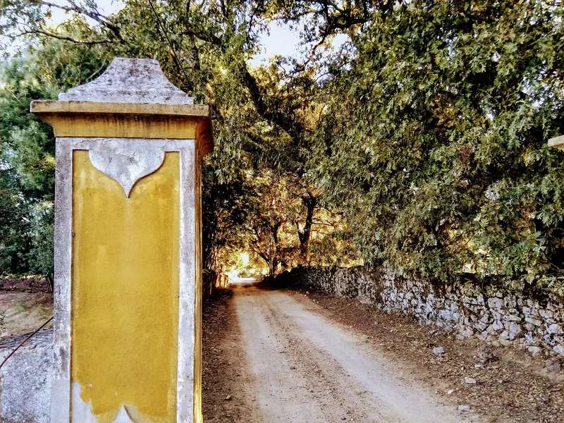 At the Quinta Da Dourada B&B near Portalegre, near Reguengo