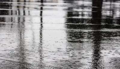 Rain is life, near Arden-Arcade