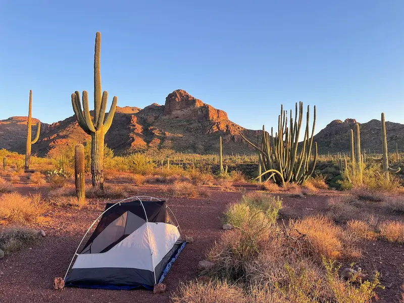 Alamo Canyon Campsite