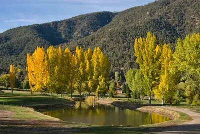 Chaging Colors, near Pine Mountain Club