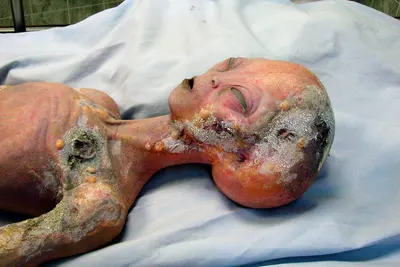 Roswell - Alien 4889611102