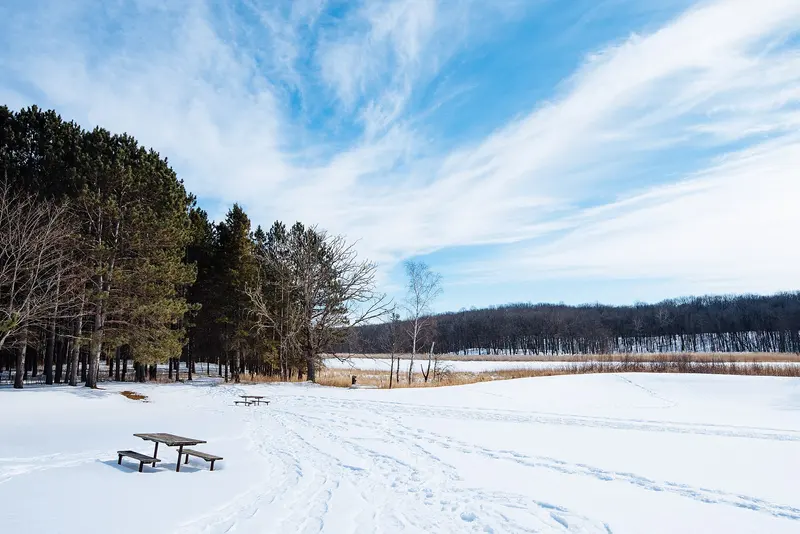 Photo: Tony Webster from Minneapolis, Minnesota, United States / CC BY 2.0, via Wikimedia Commons Winter at Mille Lacs Kathio State Park, Minnesota - Snow