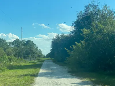 N Nogal St