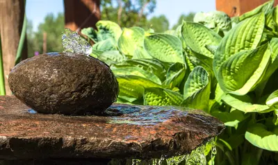 Fountain