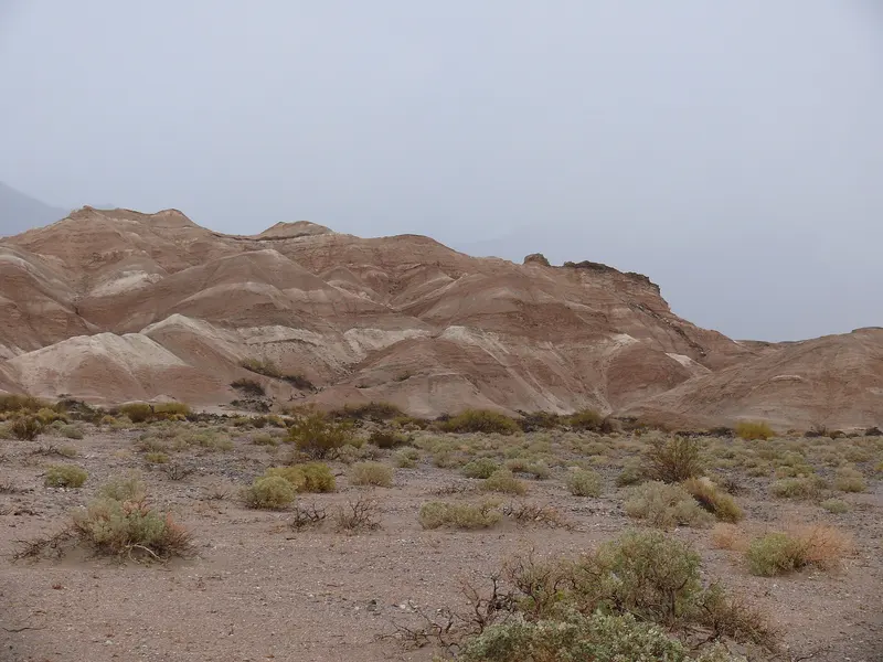 Death Valley 2010 Mesquite Spring Campground