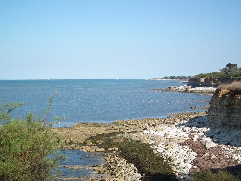 La côte à St Denis d'Oléron