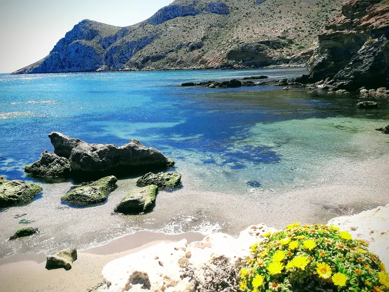 Cala en Cabo Cope, about 1.3 km from Área tortuga mora