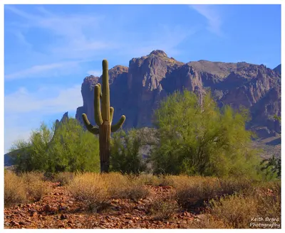 View from Apache Junction
