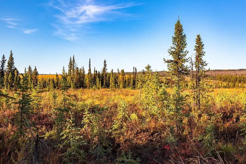Photo: BLM Alaska / CC BY 2.0, via Wikimedia Commons
