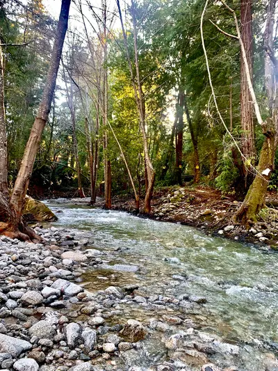 Mouth of Boulder Creek, CA