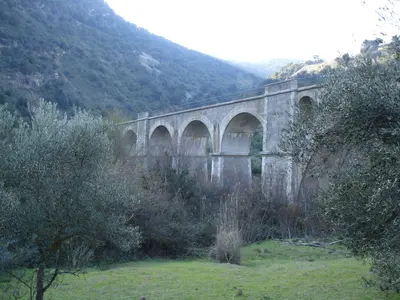 Photo: El Pantera / CC BY-SA 4.0, via Wikimedia Commons