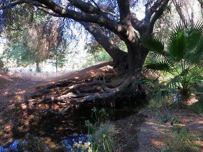 El Dorado Hills Trail