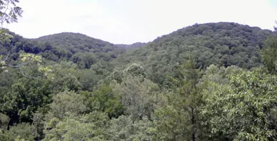 View of Rockwoods Reservation from Trail Among the Trees, near Wildwood
