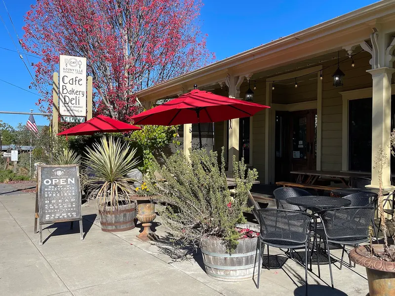 Boonville General Store - November 2022 - Sarah Stierch